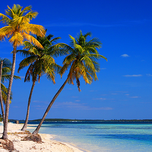 Best Bahamas Cruise Deals